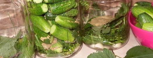 маринованные огурчики по-польски. Шаг 3