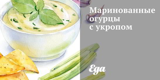 Маринованные огурцы с укропом