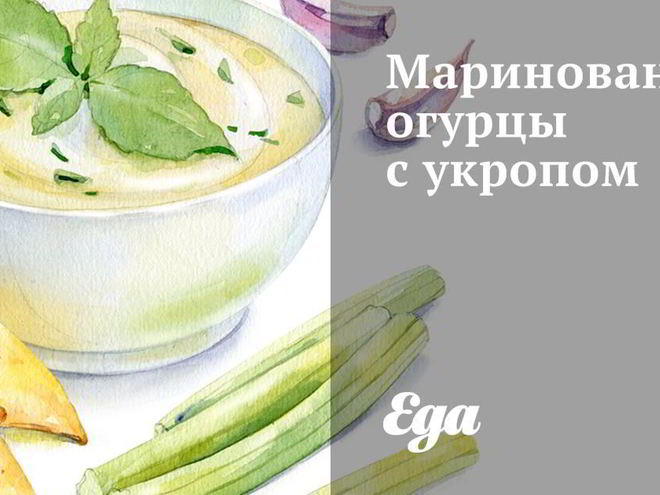Рецепт маринованных огурцов с укропом