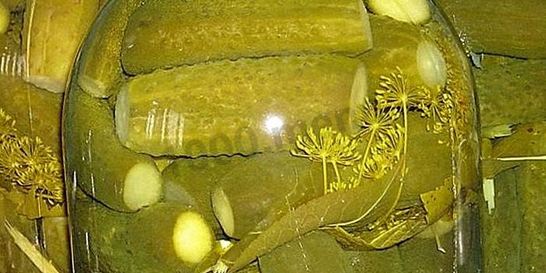 Маринованные огурцы