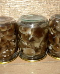 Маринованные опята с чесноком