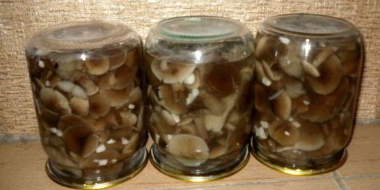 Маринованные опята с чесноком