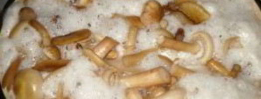 маринованные опята с чесноком. Шаг 3