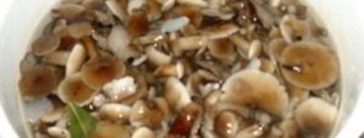 маринованные опята с чесноком. Шаг 6
