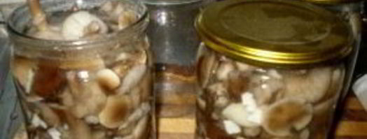 маринованные опята с чесноком. Шаг 8