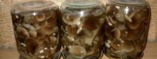 маринованные опята с чесноком. Шаг 10