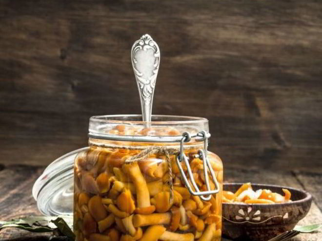 Рецепт маринованных опят