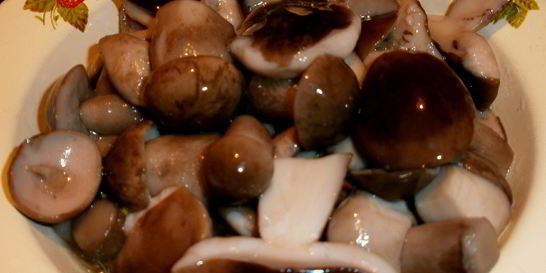 Маринованные подберезовики на зиму