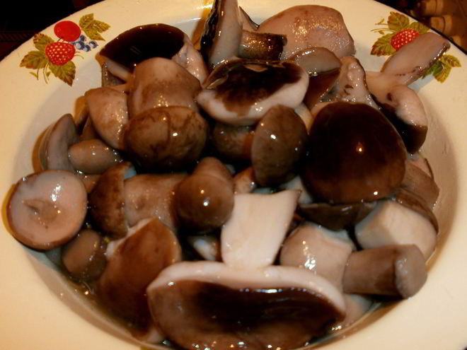 Рецепт маринованных подберезовиков на зиму