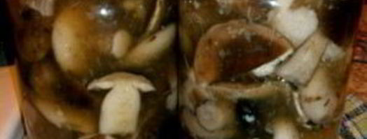 маринованные подберезовики на зиму. Шаг 3