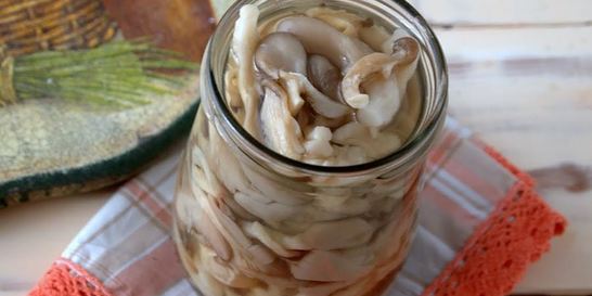 Маринованные вешенки на зиму