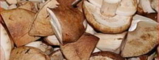 подберезовики маринованные. Шаг 2