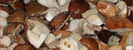 подберезовики маринованные. Шаг 3