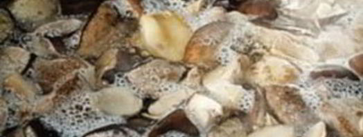 подберезовики маринованные. Шаг 6