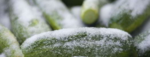 огурцы сухого посола на зиму. Шаг 2