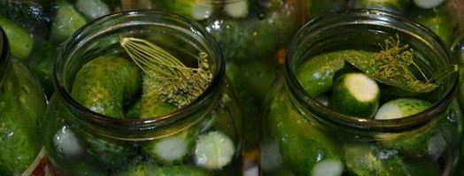 острые огурчики на зиму. Шаг 6