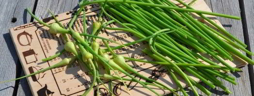 паста из чесночных стрелок на зиму. Шаг 3