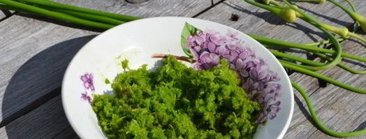 паста из чесночных стрелок на зиму. Шаг 4