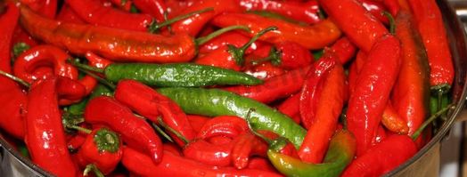 перец чили на зиму. Шаг 3