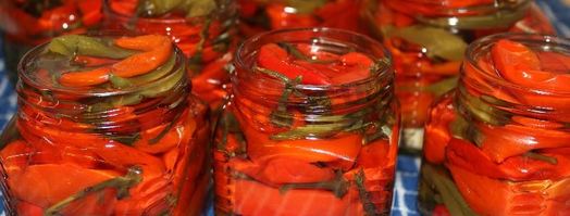 перец чили на зиму. Шаг 7