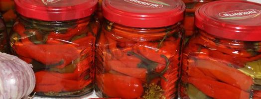 перец чили на зиму. Шаг 10