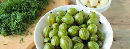 приправа из крыжовника с чесноком на зиму. Шаг 4