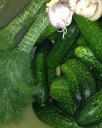 Быстрые малосольные огурцы