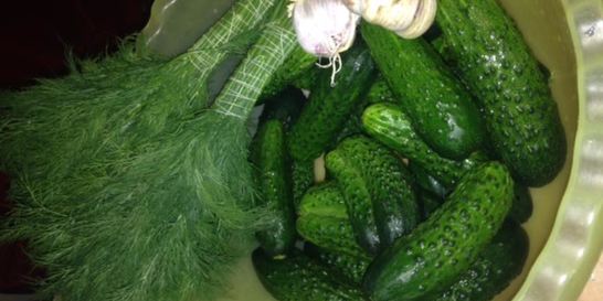 Быстрые малосольные огурцы