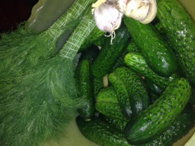 Рецепт быстрых малосольных огурцов