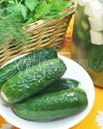 Хрустящие малосольные огурцы в банке