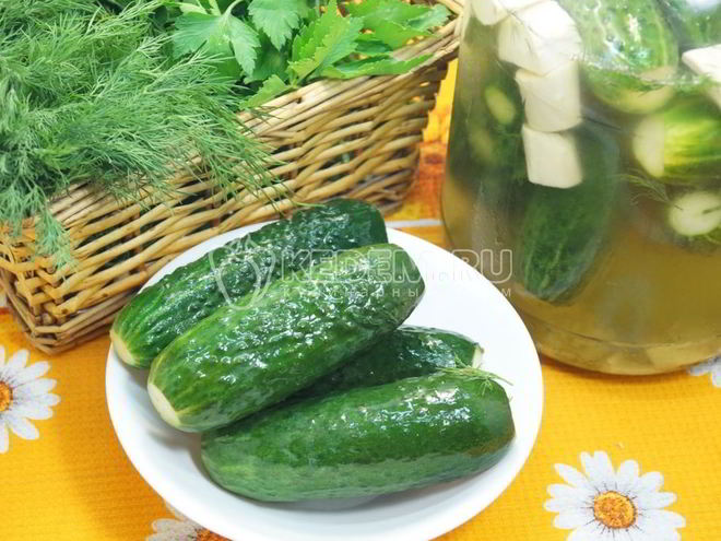 Рецепт хрустящих малосольных огурцов в банке