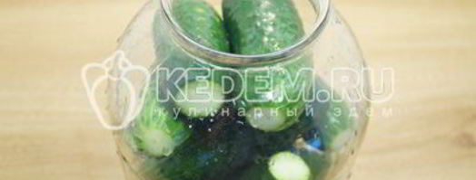 хрустящие малосольные огурцы в банке. Шаг 4