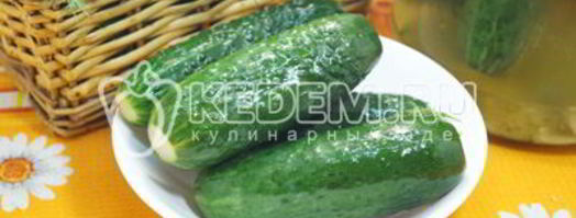 хрустящие малосольные огурцы в банке. Шаг 7