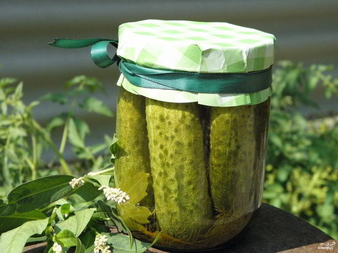 Рецепт малосольных огурчиков на зиму