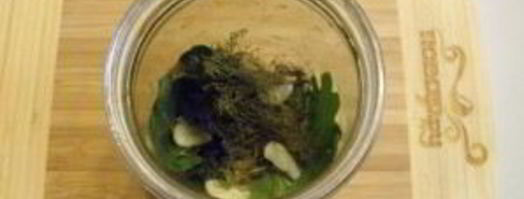 малосольные огурчики на зиму. Шаг 2