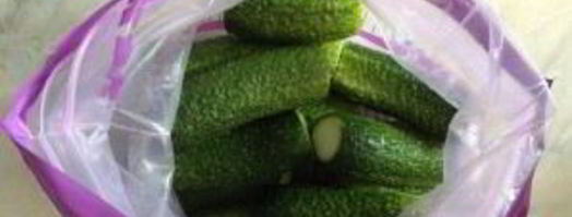 малосольные огурчики с чесноком. Шаг 3