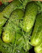 Малосольные огурчики