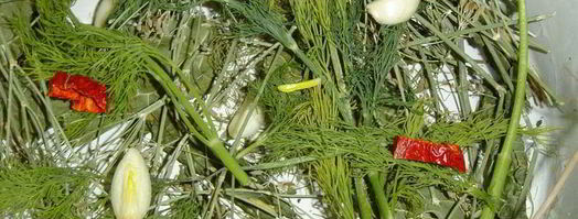 малосольные огурчики. Шаг 2