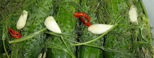 малосольные огурчики. Шаг 3