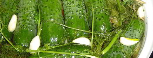 малосольные огурчики. Шаг 5