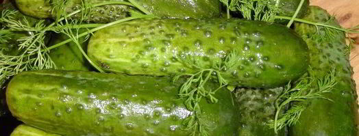 малосольные огурчики. Шаг 6