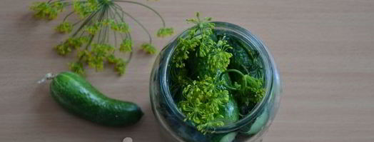 малосольные огурцы в банке. Шаг 9