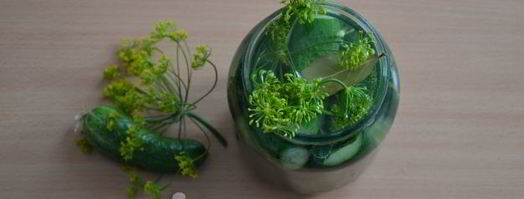 малосольные огурцы в банке. Шаг 11