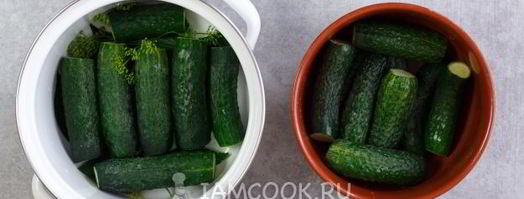 малосольные огурцы в кастрюле. Шаг 8