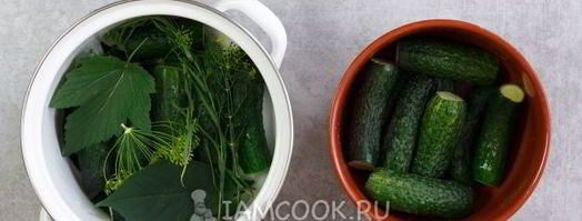 малосольные огурцы в кастрюле. Шаг 9