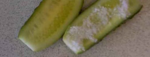 огурцы малосольные с эстрагоном. Шаг 11