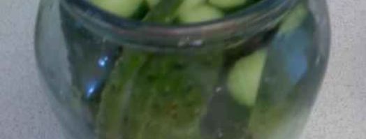 огурцы малосольные с эстрагоном. Шаг 13