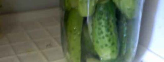 огурцы малосольные с эстрагоном. Шаг 18