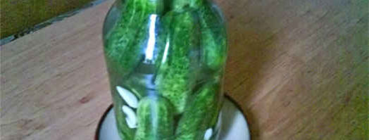 огурцы малосольные. Шаг 11