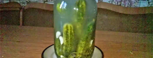 огурцы малосольные. Шаг 13